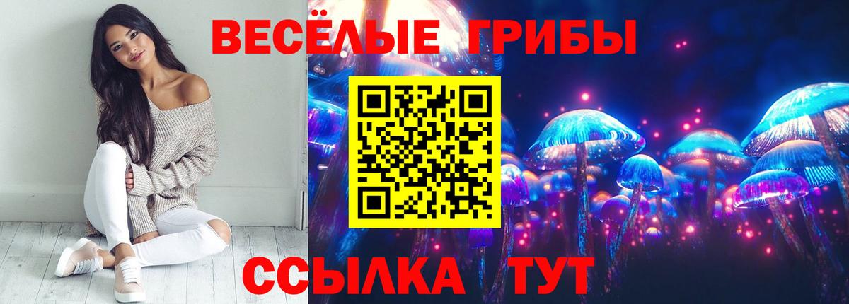 Галлюциногенные грибы MAGIC MUSHROOMS  Галлюциногенные грибы Cubensis  Москва  Вход с VPN 